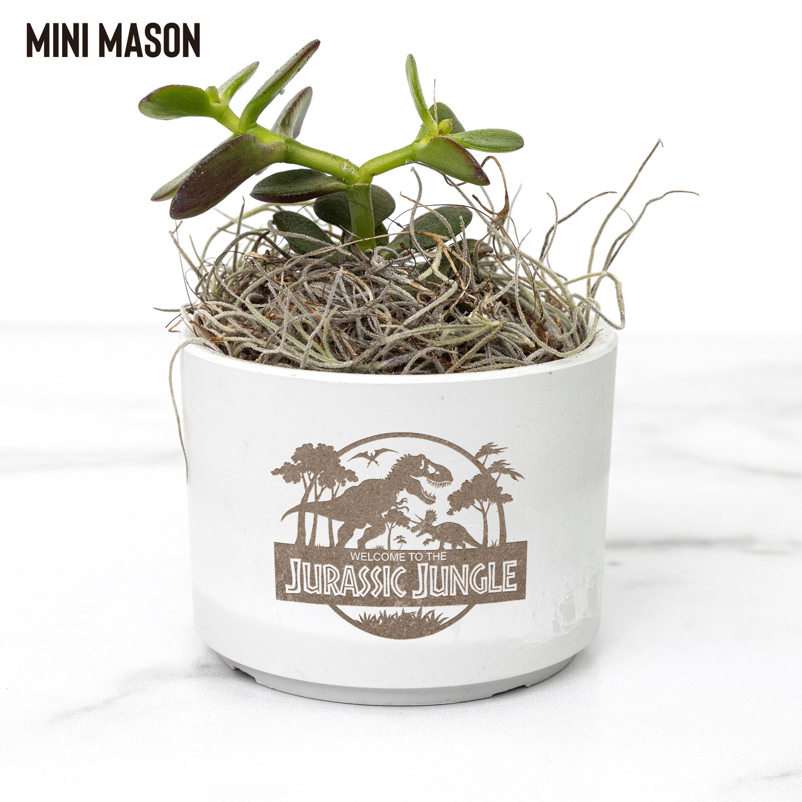 Jurassic Jungle - Dinosaur Planters
