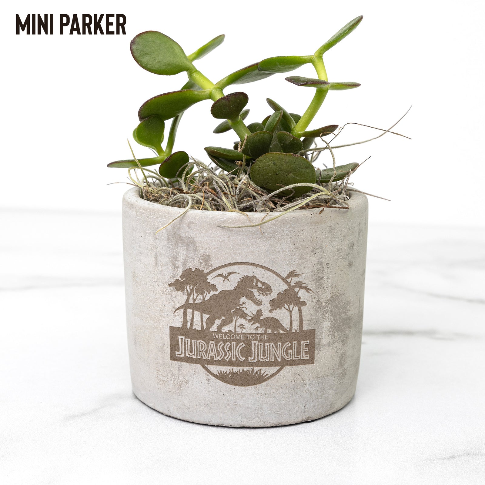 Jurassic Jungle - Dinosaur Planters
