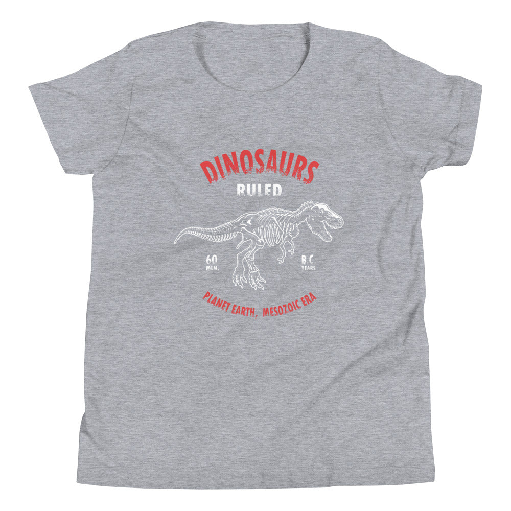 Dinosaur Shirt For Boys