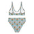 SUP Rex - Dinosaur Womens Bikini