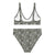 Ancient Relics - Women's Dinosaur Bikini