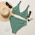 Green Stegosaurus - Women's Dinosaur Bikini