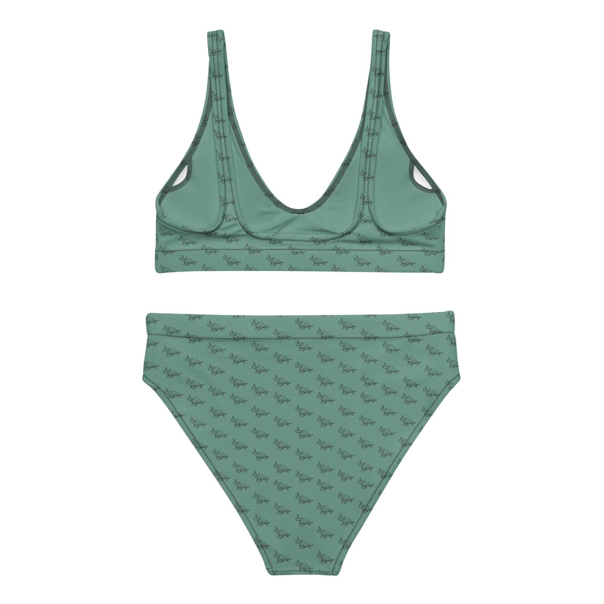 Green Stegosaurus - Women's Dinosaur Bikini