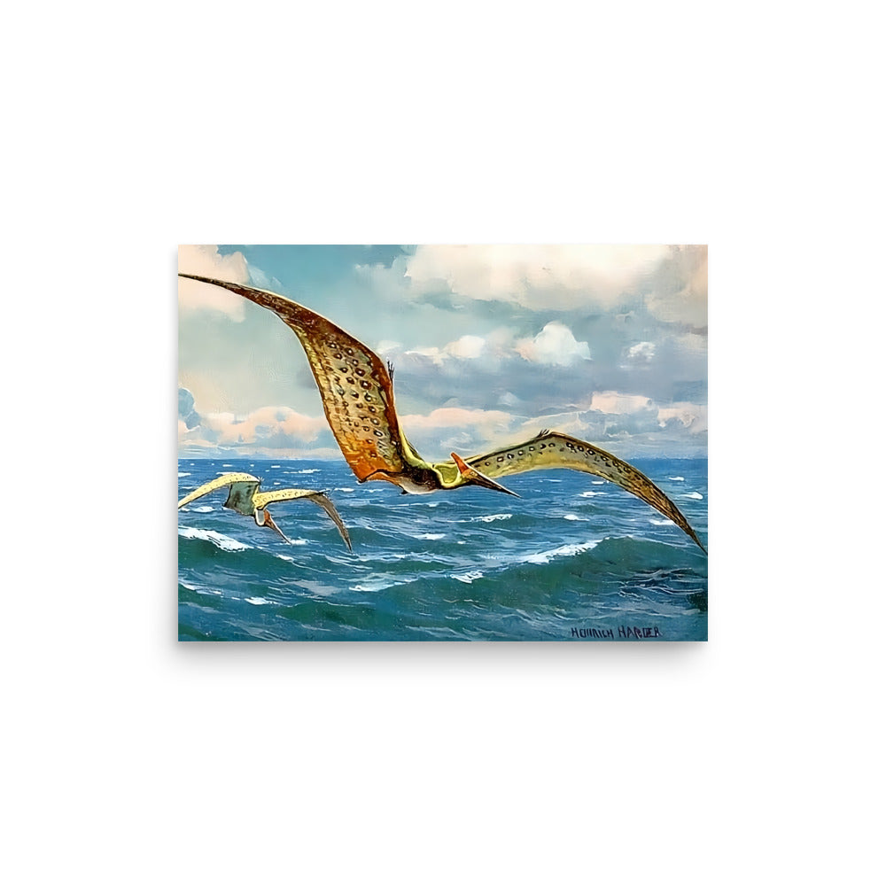 Pteranodon - Dinosaur Poster