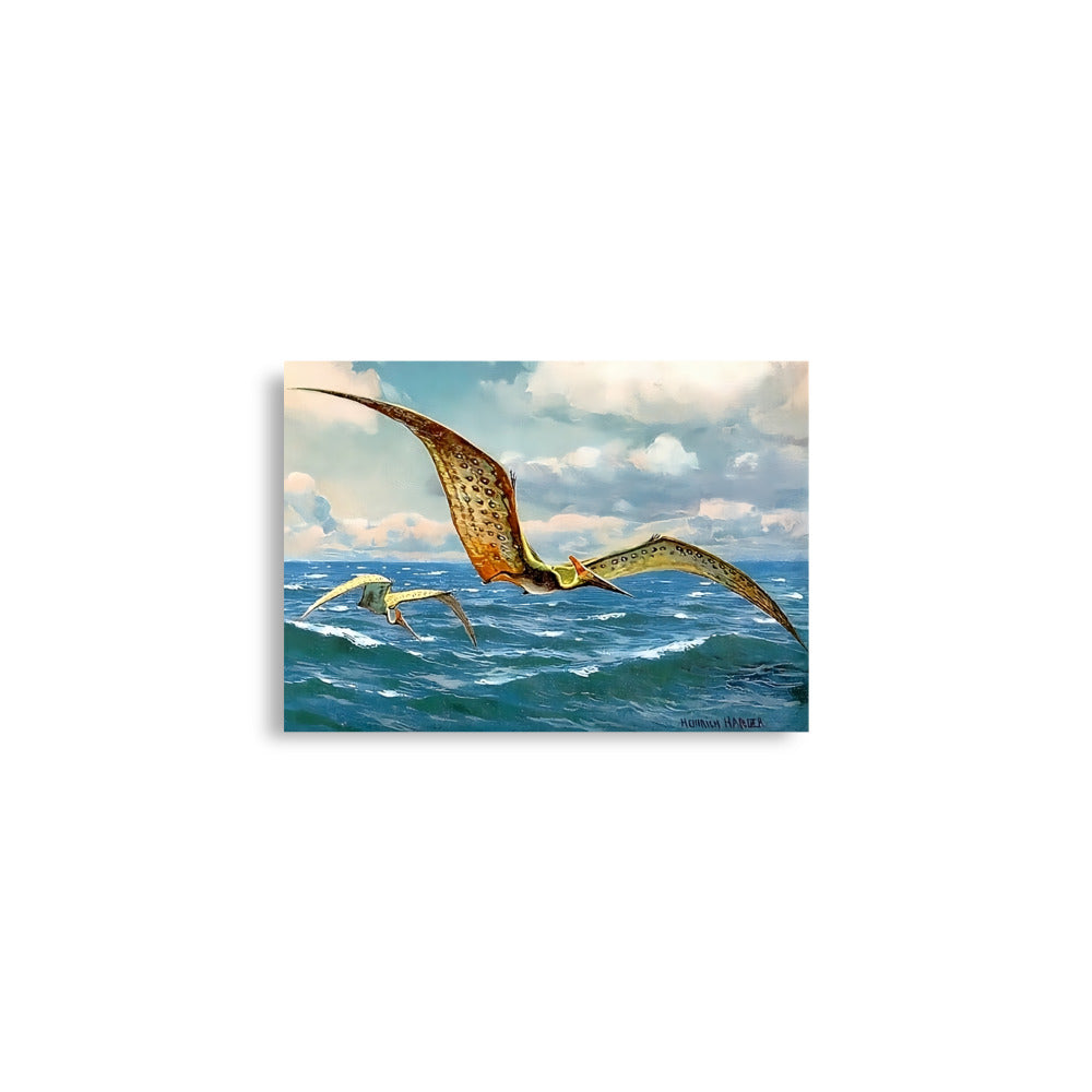 Pteranodon - Dinosaur Poster