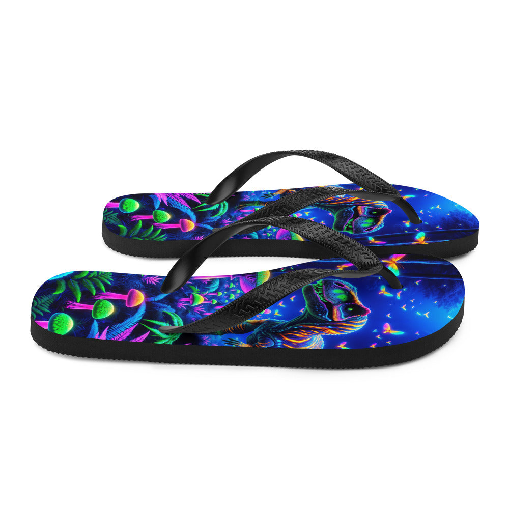 Glowing Dubreuillosaurus - Dinosaur Flip Flops