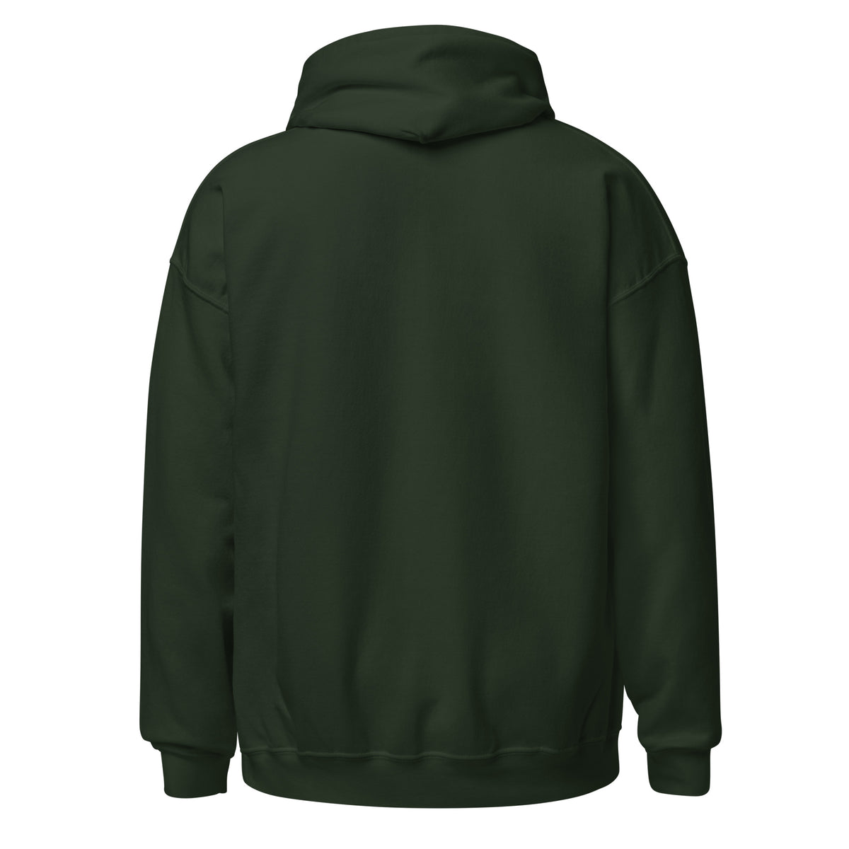 Piggyback Dino Dad dinosaur hoodie with T-Rex dad and baby dino - Forest Green - back view