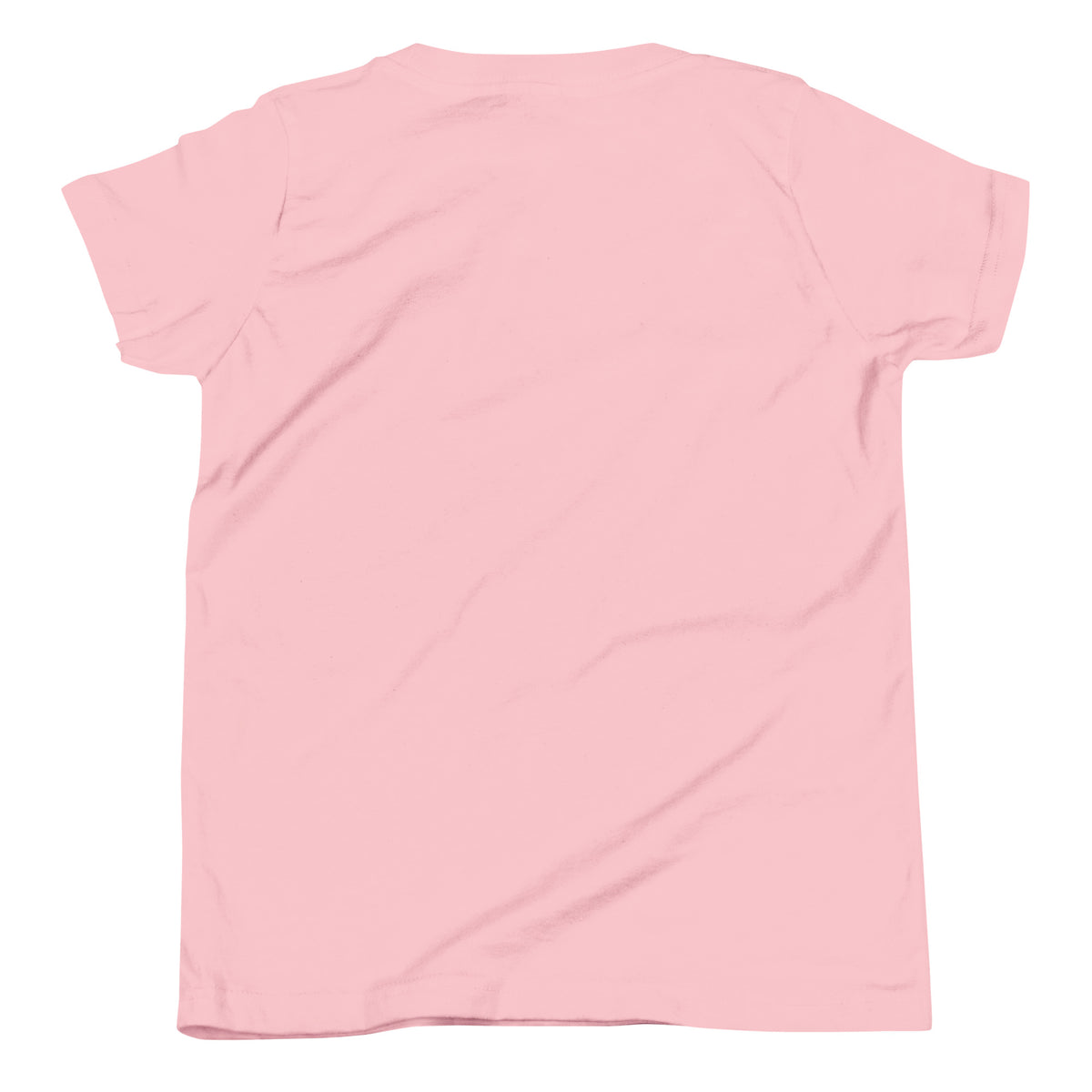 Name-Saurus personalized dinosaur t-shirt in , Printful preview with placeholder text YOUR NAME where the child's name prints, front view