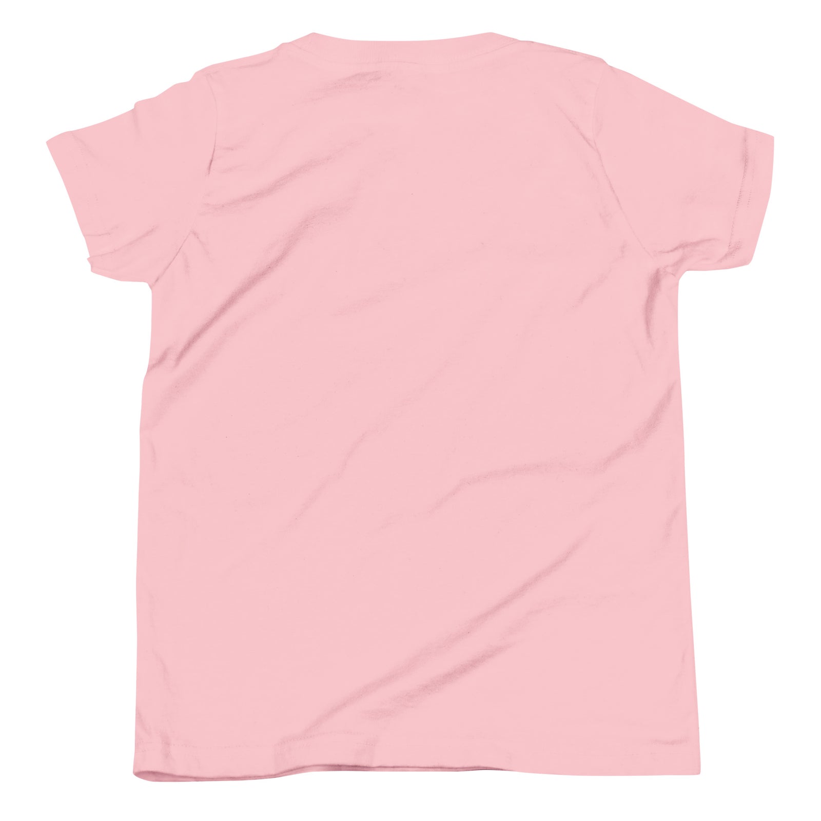 Name-Saurus personalized dinosaur t-shirt in , Printful preview with placeholder text YOUR NAME where the child's name prints, front view