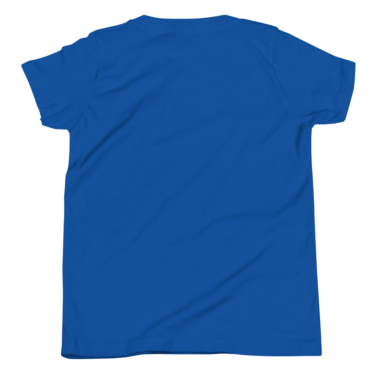 Name-Saurus personalized dinosaur t-shirt in , Printful preview with placeholder text YOUR NAME where the child's name prints, front view