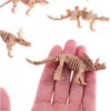 Skeleton Dinosaur Toys