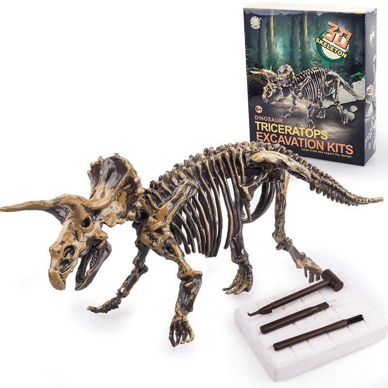 Dinosaure Fossiles Kits d'excavation Éducation Archéologie Exquis