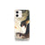 Jurassic Fight - Dinosaur iPhone Case