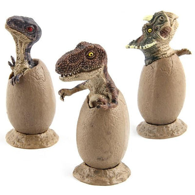 Dinosaur Egg Models