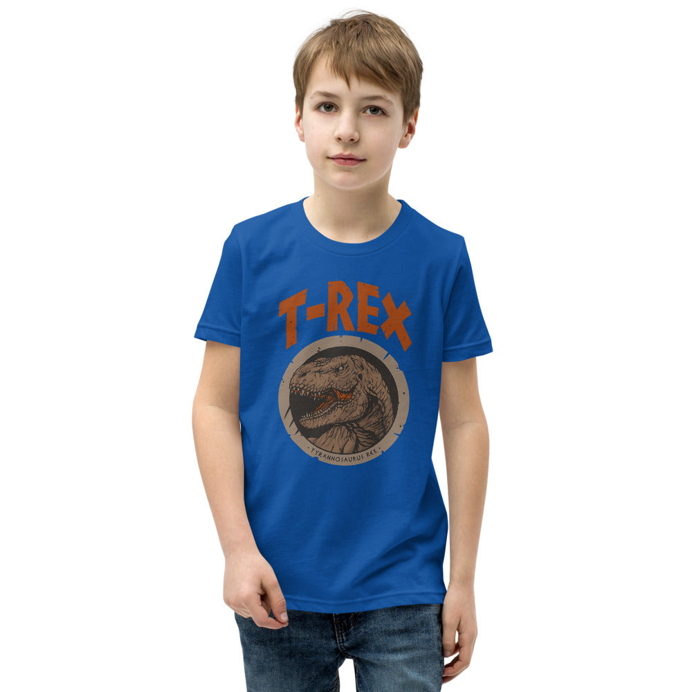 Kids DInosaur Shirt Boys