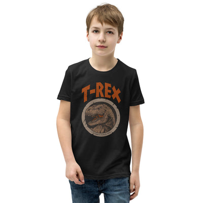 Kids Dinosaur Shirt For BOys