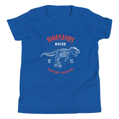 Dinosaur Shirt For Boys