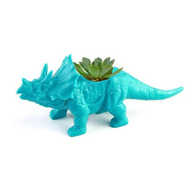 Plastic Succulent Triceratops
