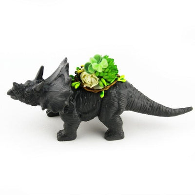 Plastic Succulent Triceratops