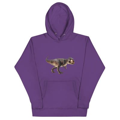 Dinosaur Sweatshirt