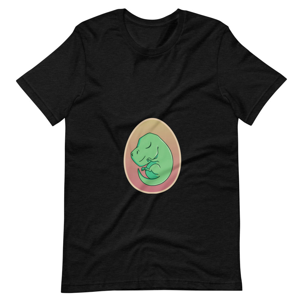 Dinosaur Shirt For Women