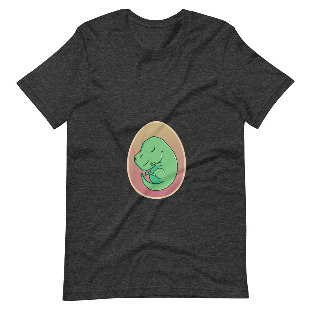 Preggosaurus - Women's Dinosaur Shirt