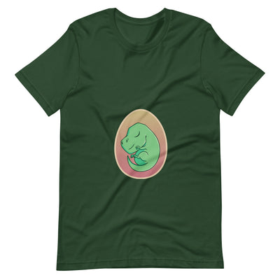 Adult Dinosaur Shirt For Pregnant Women