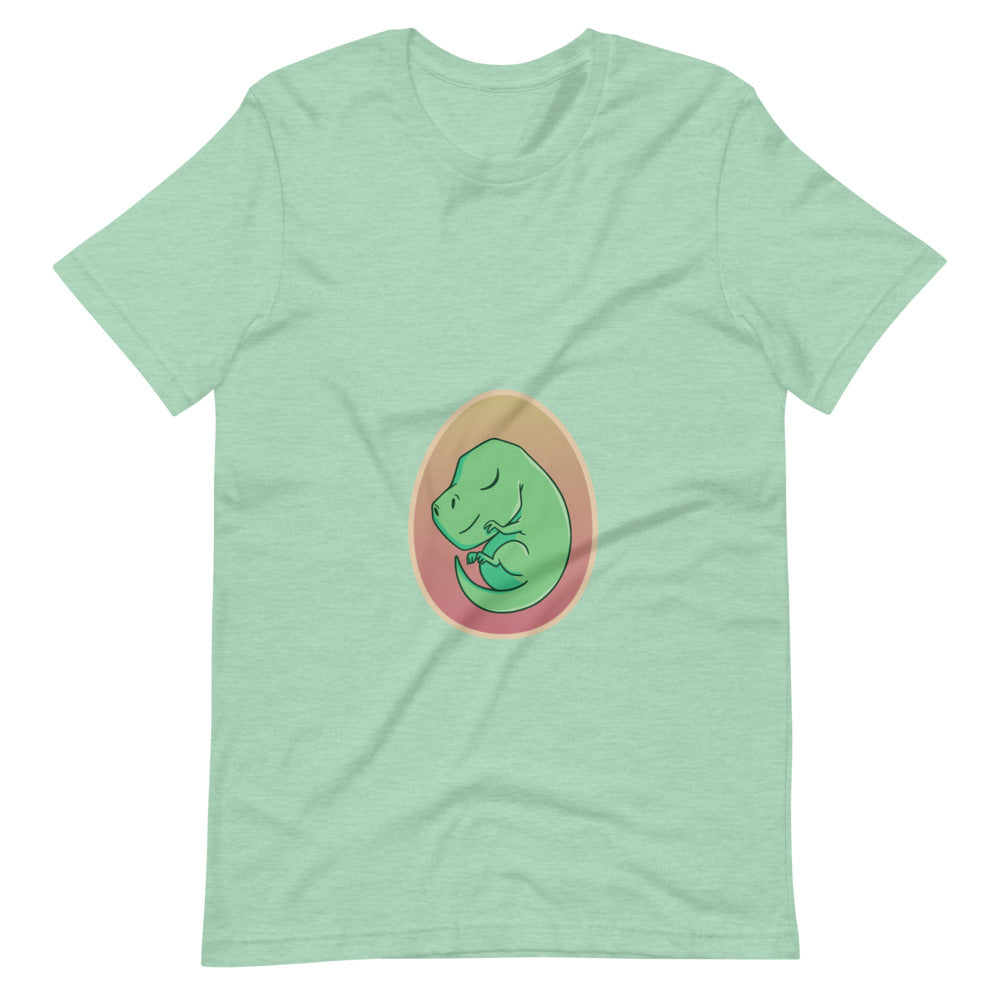 Preggosaurus - Women's Dinosaur Shirt